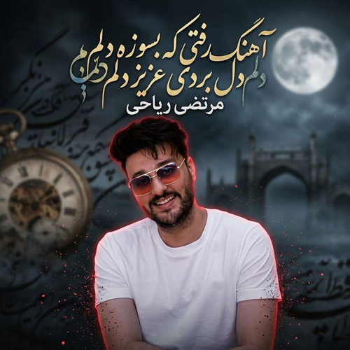 دانلود آهنگ رفتی که بسوزه دلم دل بردی عزیز دلم مرتضی ریاحی